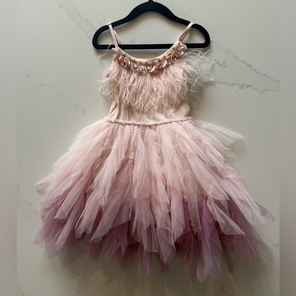 Swan Queen Tutu Feathered Dress